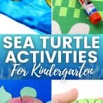 Sea Turtle Activities for Kindergarten