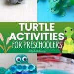 Turtle Activities for Preschoolers