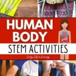 A collage of Human Body STEM Activities