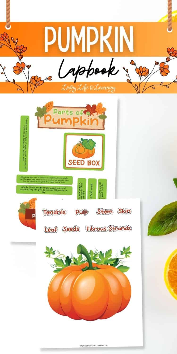 Pumpkin Lapbook