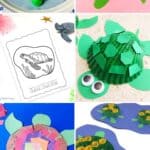A collage of Sea Turtle Arts and Crafts