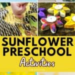 Sunflower Preschool Activities Images