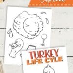 Turkey Lapbook on a table