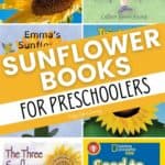Pictures of Sunflower Books for Preschoolers