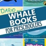 Pictures of Whale Books for Preschoolers