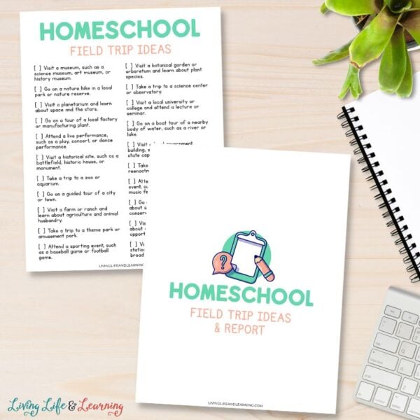Homeschool Field Trip Ideas And Report Printable homeschool-field-trip-ideas-and-report-printable