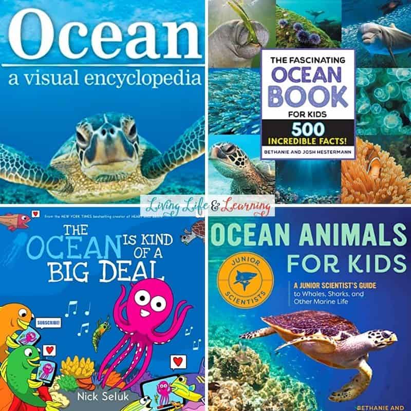 Ocean Books for Elementary Students
