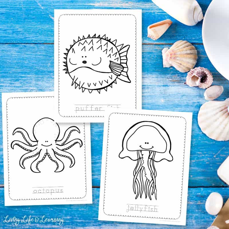 Three Ocean Coloring Pages for Kindergarten on a table