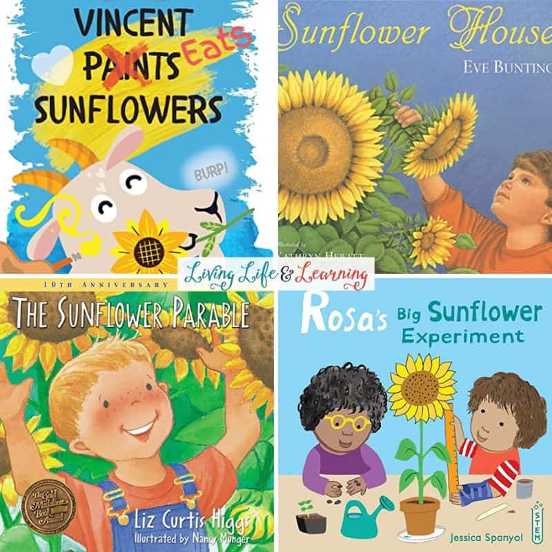 A collage of Sunflower Picture Books 