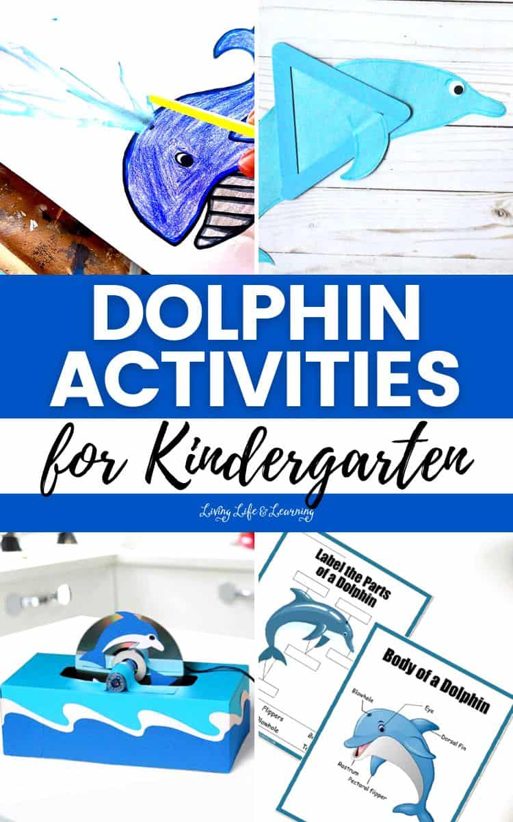 Dolphin Activities for Kindergarten