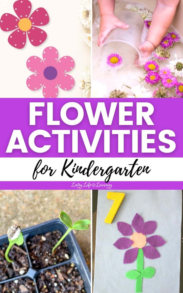 Flower Activities for Kindergarten