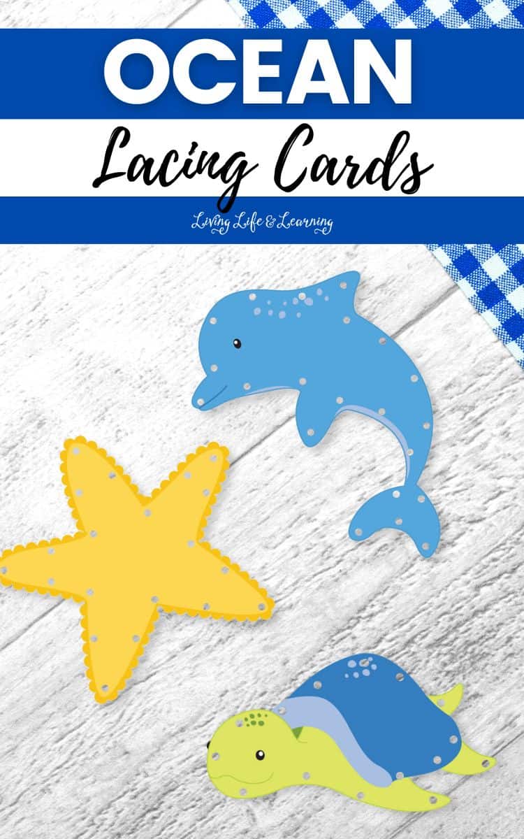 Three Ocean Lacing Cards on a table