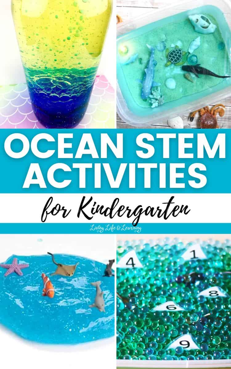 Ocean STEM Activities for Kindergarten