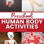 Preschool Human Body Activities