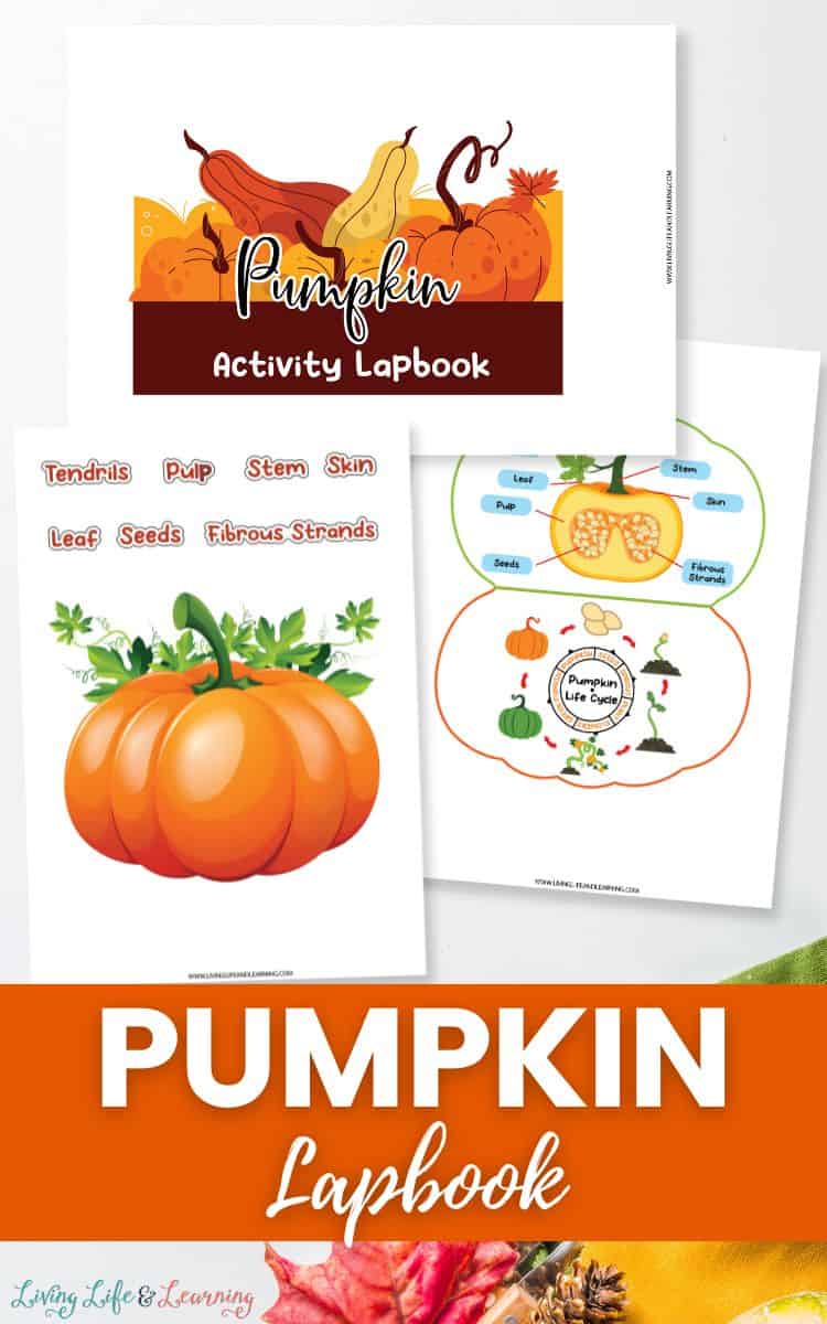 Pumpkin Lapbook
