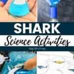 A collage of Shark Science Activities