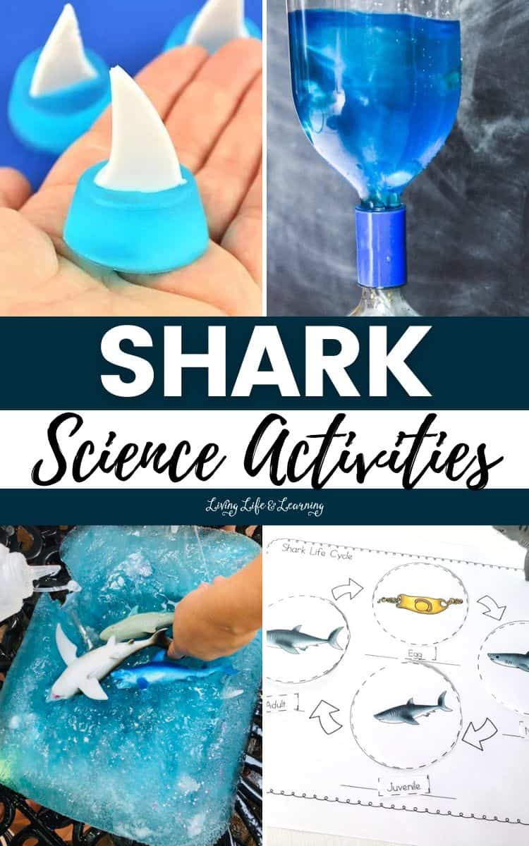 A collage of Shark Science Activities