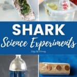 Shark Science Experiments