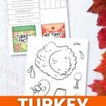 Turkey Lapbook on a table