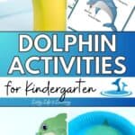 A collage of Dolphin Activities for Kindergarten
