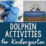 Dolphin Activities for Preschoolers