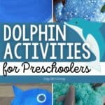 Dolphin Activities for Preschoolers
