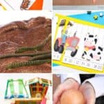 A collage of Farm STEM Activities