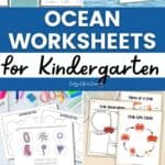 Ocean Worksheets for Kindergarten