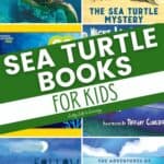 Sea Turtle Books for Kids