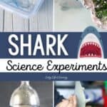 Shark Science Experiments