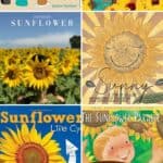 A collage of Sunflower Picture Books