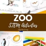 A collage of Zoo STEM Activities