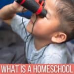 What is a Homeschool Unit Study? Everything You Need to Know