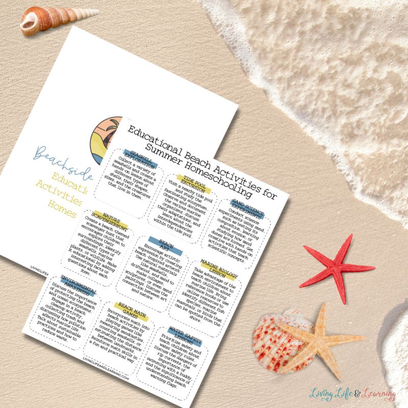 Fun Beach Activities Ideas + a Printable