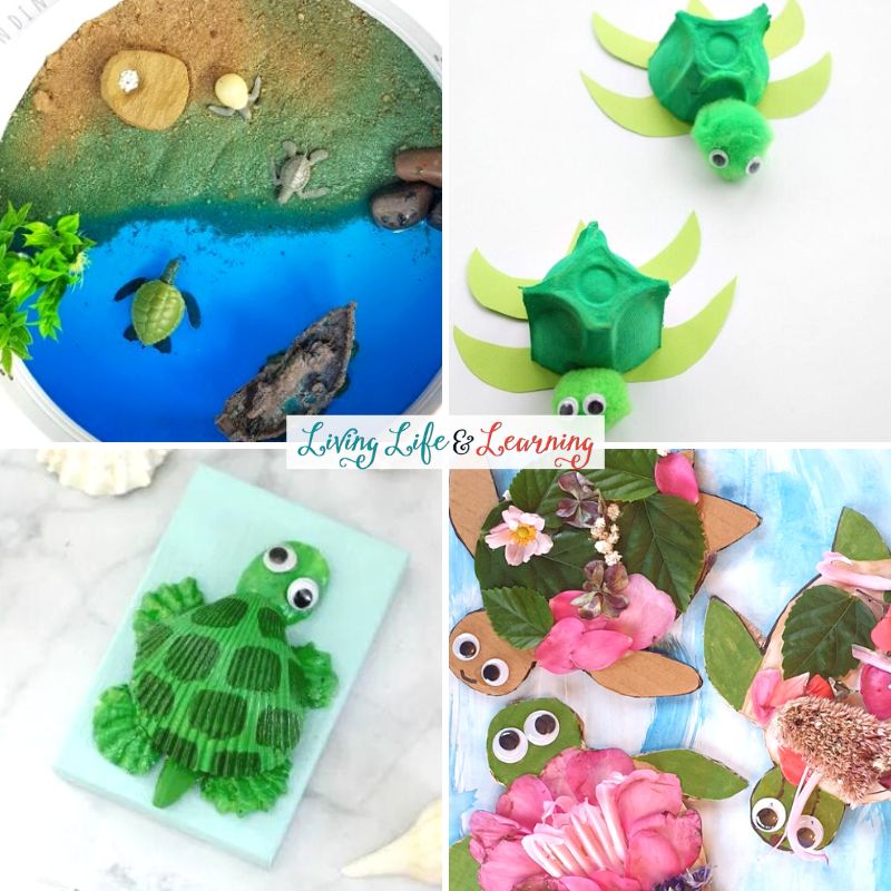 A collage of Sea Turtle Activities for Toddlers