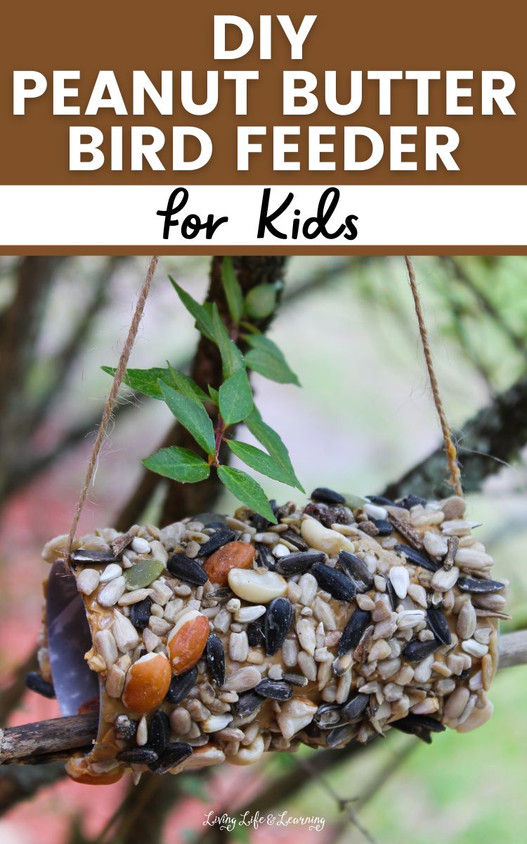 DIY Peanut Butter Bird Feeder for Kids