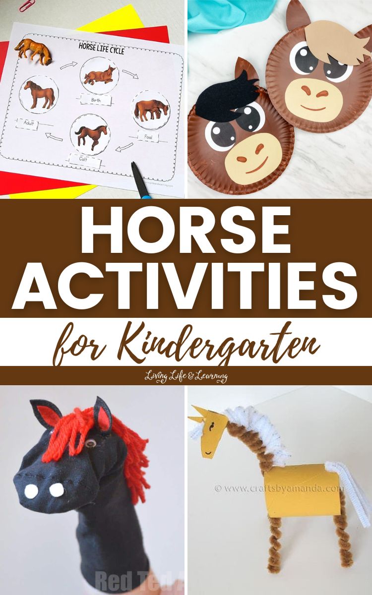 Horse Activities for Kindergarten