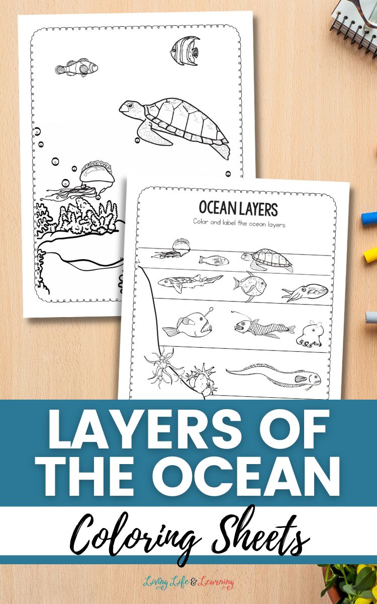 Two Layers of the Ocean Coloring Sheets on a table
