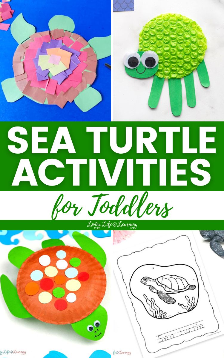 Fun Sea Turtle Activities for Toddlers