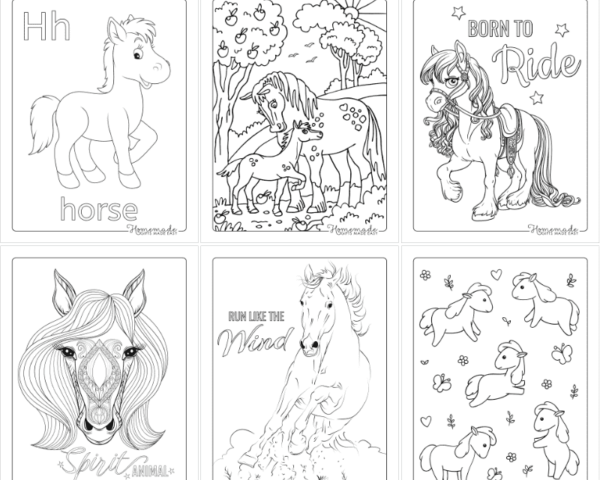 Horse Activities for Kindergarten