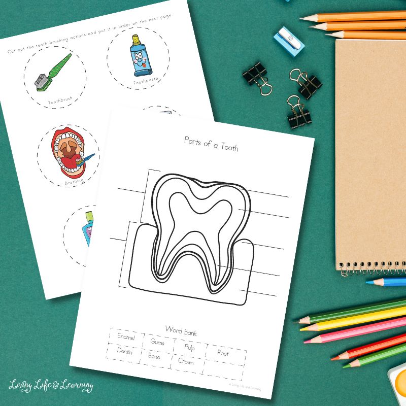 Dental Health Worksheets