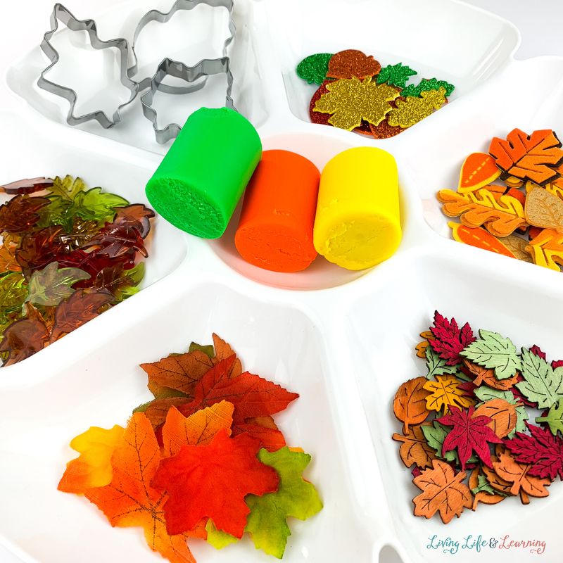 Begin your child's fall season with a bang with this fall leaves play dough invitation activity! A great addition to your child's homeschool learning activity inspired by this wonderful season of fall.