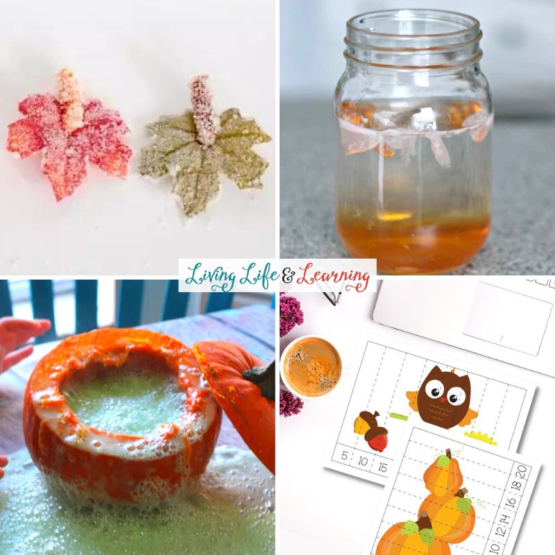A collage of Fall STEM Activities for Kindergarten