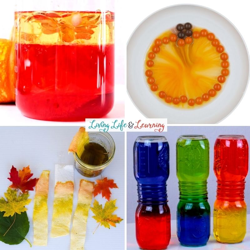 Fall Science Experiments for Kindergarten