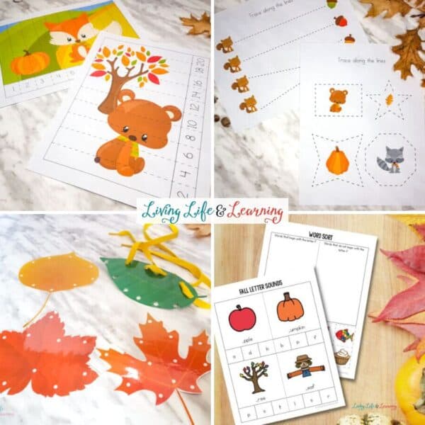 Fun Fall Printables for Kids