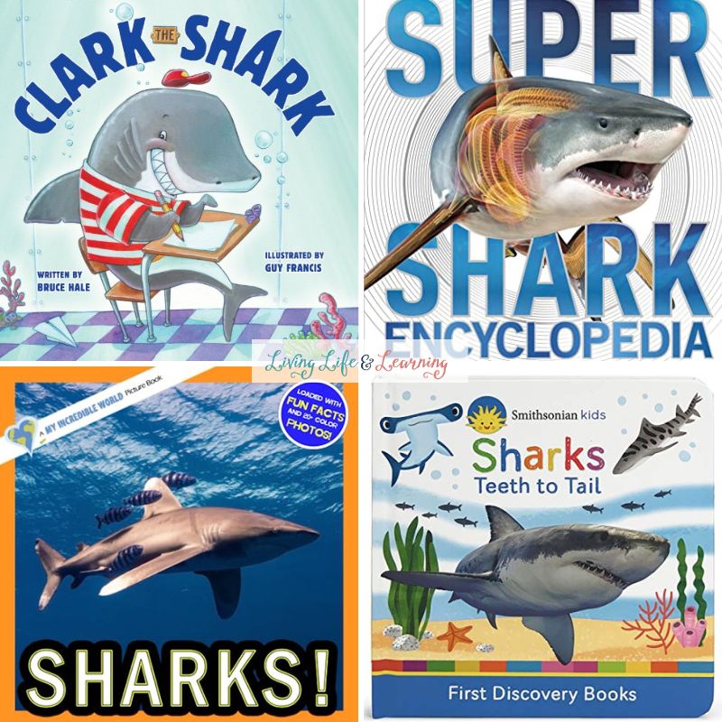 Shark Picture Books