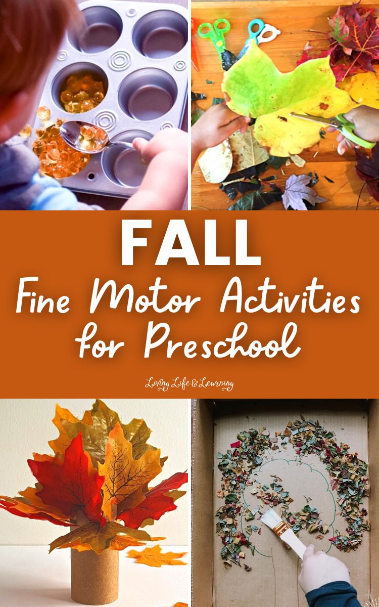 Develop your kids' hand-eye coordination, hand grip, scissor skills, and other important motor skills while introducing the season of fall with these fall fine motor activities for preschool. Encourage fine motor practice while having fun and learning about this majestic season. Add these to your list of homeschool fall activities now!