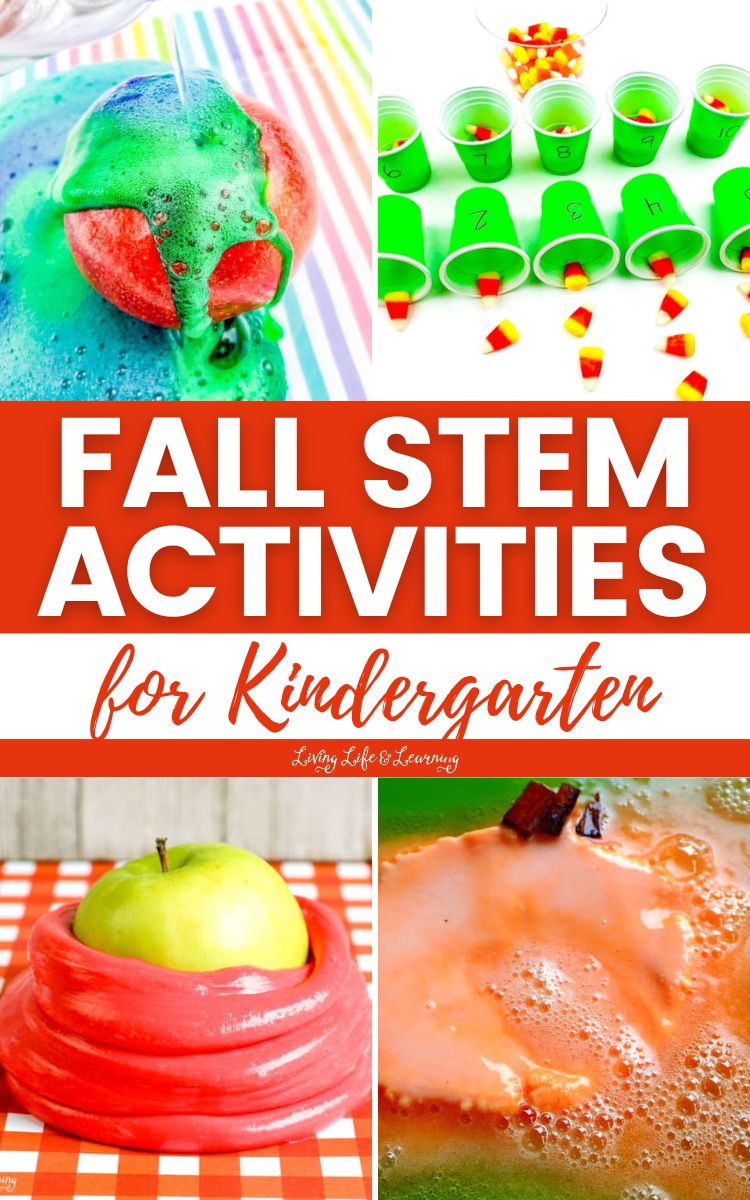 Fall STEM Activities for Kindergarten