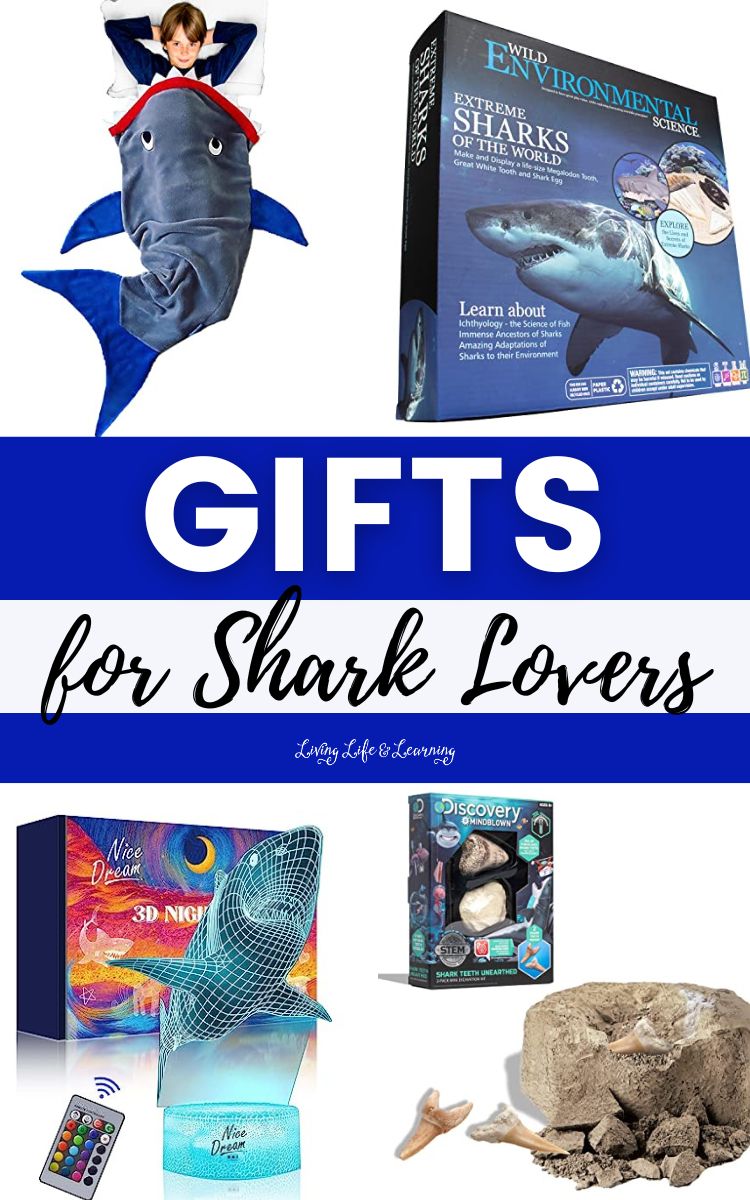Gifts for Shark Lovers