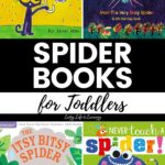 A collage of Spider Books for Toddlers